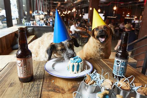 Brewdog To Host ‘pawties For Dogs In Its Bars Beer Today