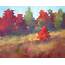 Painting My World Autumn Color Pastel Landscape 11x14 SOLD