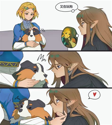 Shuo Yue Link Princess Zelda Nintendo The Legend Of Zelda The