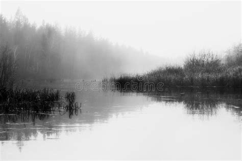 Foggy Morning On The River Stock Photo Image Of Fields 155331016