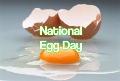 National Egg Day 2023 When Where And Why It Is Celebrated