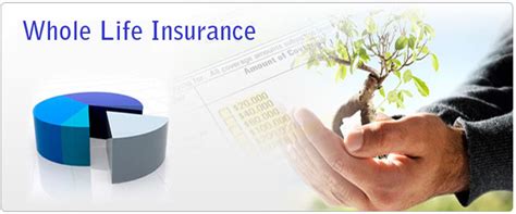 As a type of permanent life insurance, whole life insurance lasts for life, as long as the premiums are paid, and beneficiaries are paid out upon the insured's death. Whole life insurance plan,Life Insurance Corporation,LIC Policies,children policies,whole life ...