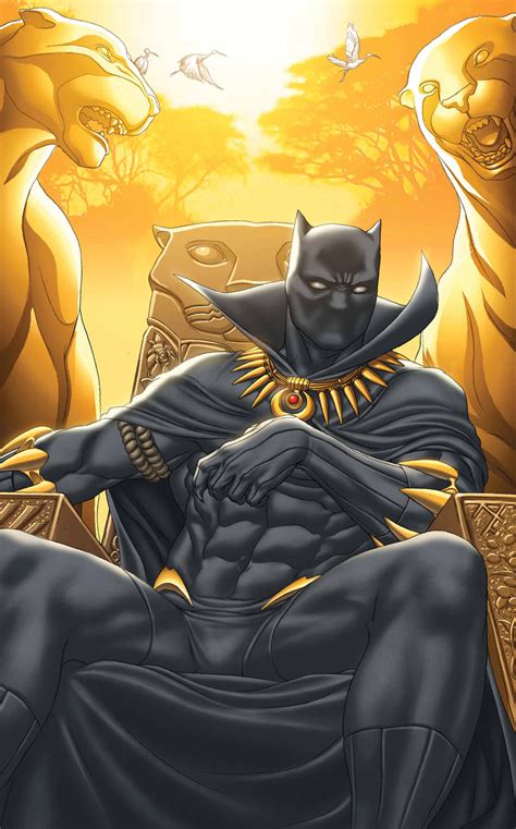 Black Panther Character Worldofblackheroes
