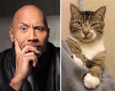 8 Cats Who Look Like Celebs Feline Facts And Fun Mad Paws Blog