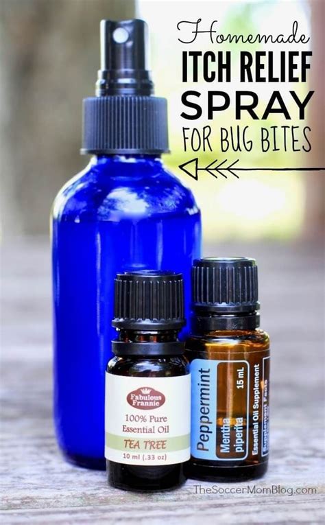 Soothing Homemade Itch Relief Spray For Bug Bites Itch Relief