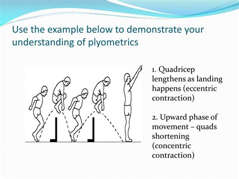 Ppt Plyometrics And Pnf Training Powerpoint Presentation Free