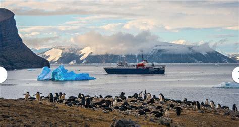 Antarctica South Georgia And Falklands 2022 Wild Focus Expeditions