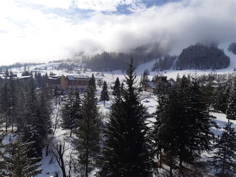 Premium Photo Mountain Landscape With Fog On The Forest And White Snow