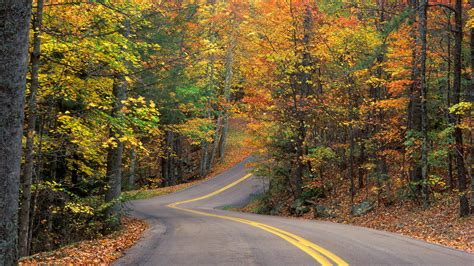 Free Download Backgrounds Road Autumn Cool Colors 1920x1080 1920x1080