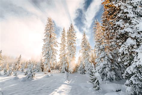 8 Reasons To Visit Yellowstone In The Winter Teton Science Schools