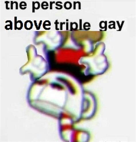 The Person Above Triple Gay Know Your Meme