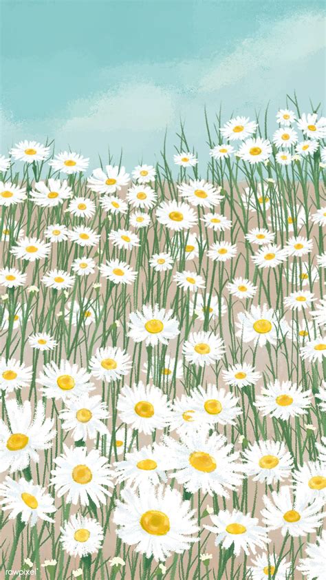 Blooming White Daisy Flower Mobile Phone Wallpaper Illustration