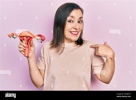 hispanische frau mittleren alters mit anatomischem modell des weiblichen genitals organ zeigt