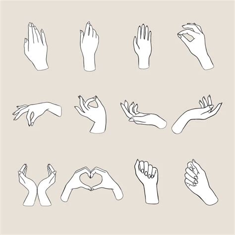 Womens Hands Gestures Vector Illustrations Of Womens Hands Doing