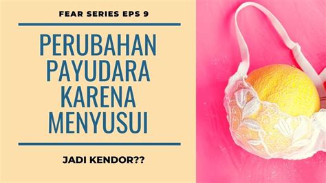 Mitos Fakta Payudara Kendor Jika Menyusui Youtube