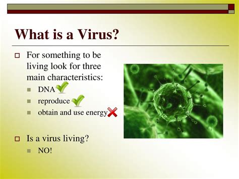 Bacteria And Viruses Powerpoint Labquiz