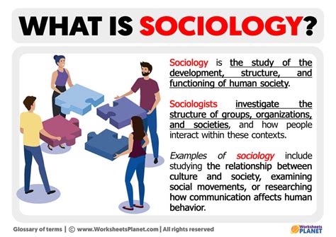 What Is Sociology Definition Of Sociology