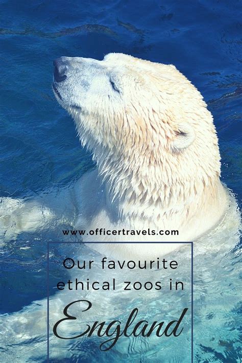 5 Ethical Zoos In England That You Should Visit Soon England