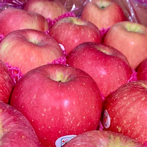 Giant Red Fuji Apples —