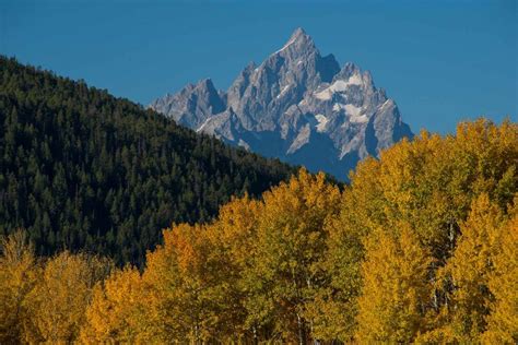 Things To Do In Fall In Grand Teton National Park