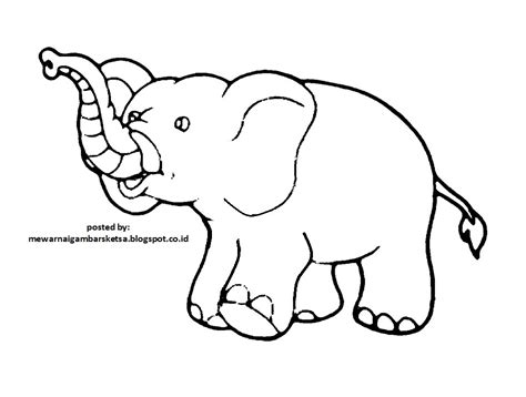 Gambar Mewarnai Gambar Sketsa Hewan Gajah 1 Sket Di Rebanas Rebanas
