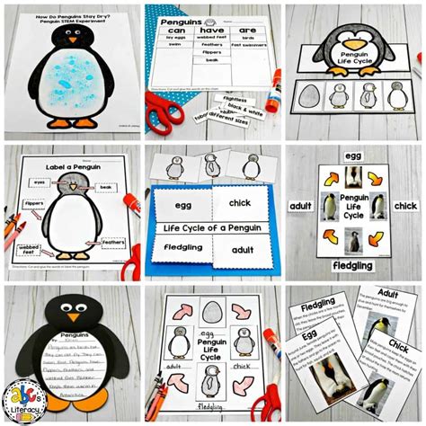 How Do Penguins Stay Dry Penguin Science Experiment Science