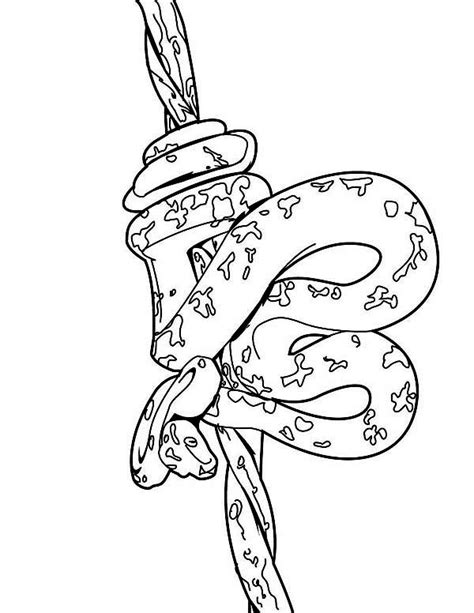Save Anaconda From Extinction Coloring Page Coloring Sky