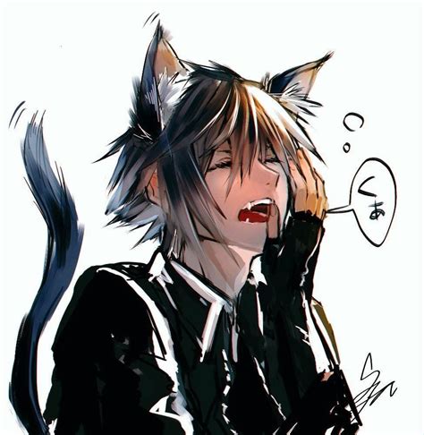 Sora Cat Anime Neko Anime Cat Boy Neko Boy