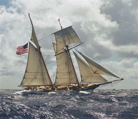 Privateer Schooner Lynx With A Fresh Breeze Sailing Tall Ships