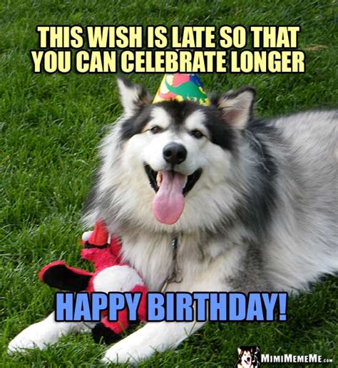Funny Dog Tells Birthday Jokes Happy Belated Birthday From Dog Pg 7