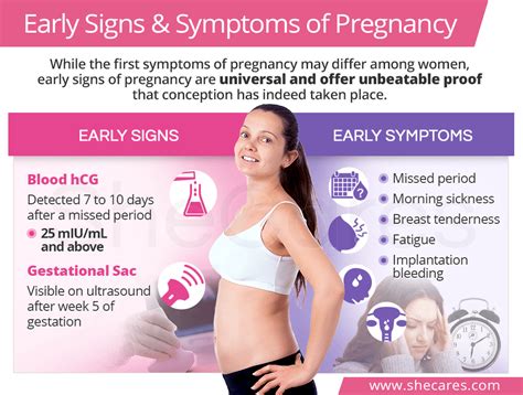 In this post, we're going over the most common and weird very early pregnancy symptoms that could appear before a missed period. Early Signs & Symptoms of Pregnancy | SheCares
