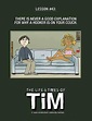 Sección visual de Las desventuras de Tim (Serie de TV) - FilmAffinity