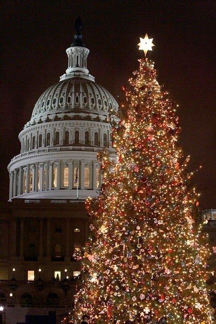 Christmas Tree Outside Of The White House Pictures Photos And Images