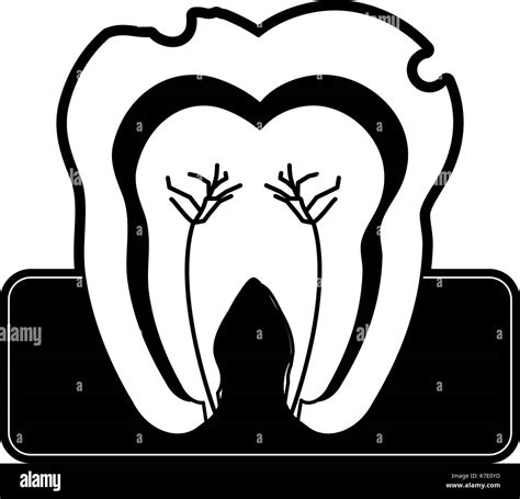 Molar Tooth Inside Dentistry Icon Image Stock Vector Image And Art Alamy