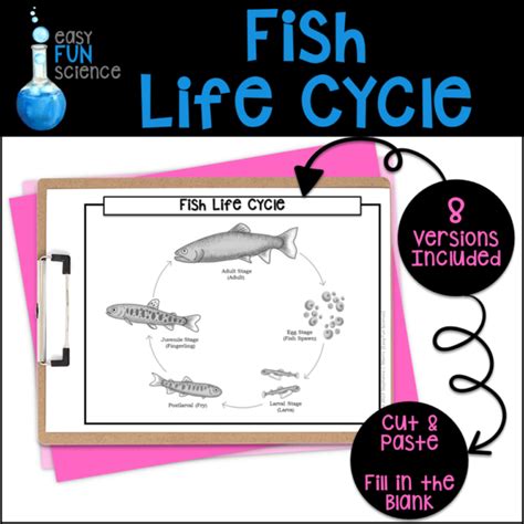 Fish Life Cycle Made By Teachers