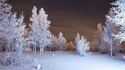 Free Download Download Wallpaper 3840x2160 Winter Forest Snow 4k Ultra