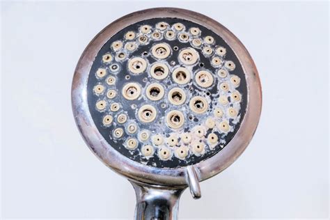 How To Clean A Shower Head And Why You Should House Wife Notes