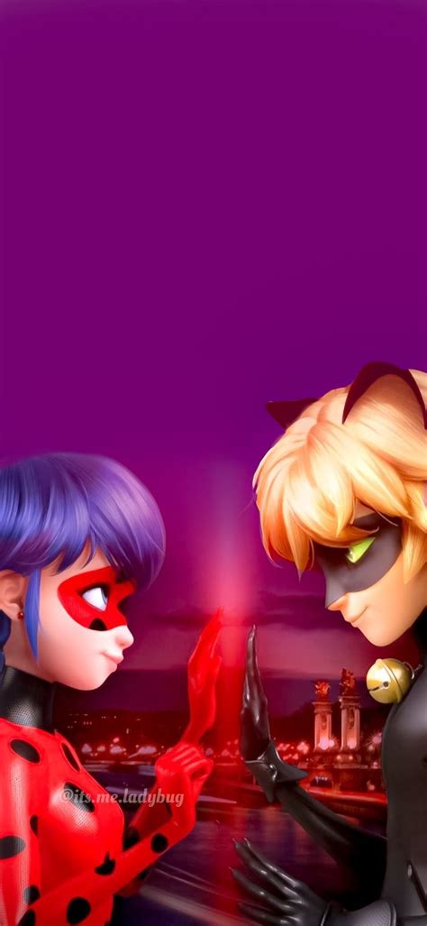 Ladynoir Wallpaper Fondos De Ladybug Imágenes De Miraculous Ladybug Imágenes De Lady Bug