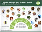 Glyphosate as a Carcinogen, Explained | Carcinogen Examples