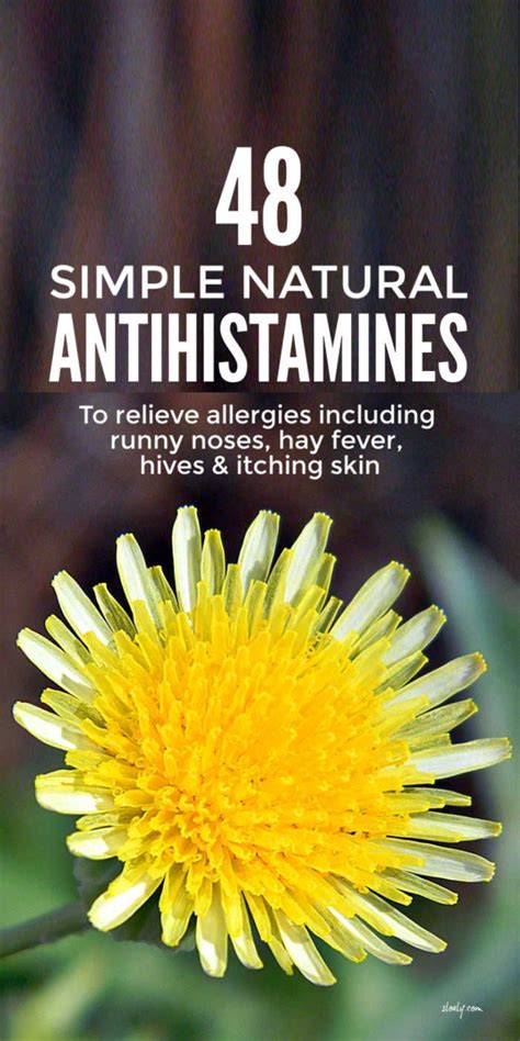 Natural Antihistamines For Allergy Relief Natural Antihistamine