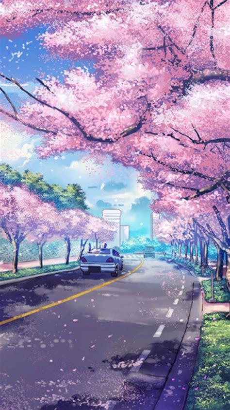 Download Anime Cherry Blossoms Iphone Wallpaper