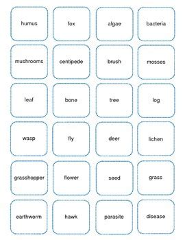 And two types of plants and animals found in each. Abiotic and Biotic Factors in Ecosystems by Science Works ...