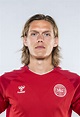 Jannik Vestergaard / Rygte: Jannik Vestergaard på vej mod tysk comeback ...