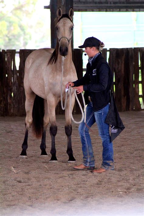 You had best learn the why,... - Hoof to Heart Horsemanship