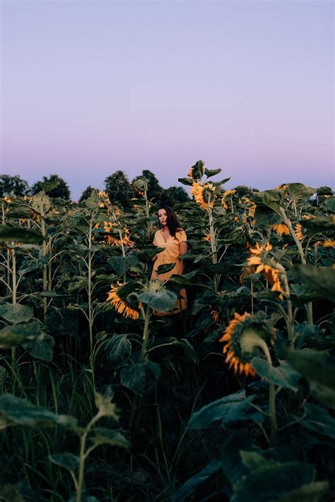 Kobieca Sesja W S Onecznikach Photoshoot Sunflower Beautiful
