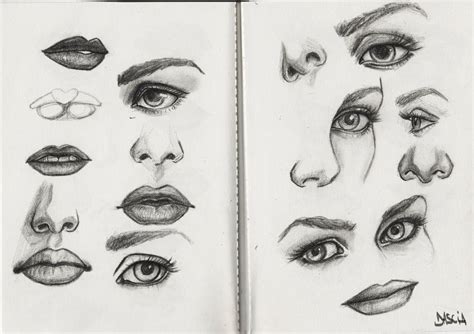 Facial Features By Manuzan On Deviantart In 2023 Sketch Book Art