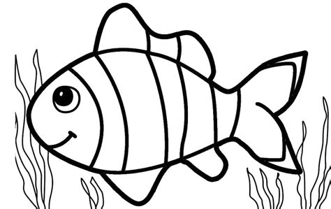 16 Info Populer Sketsa Gambar Ikan Kolase