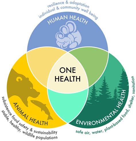 What Is One Health Center For One Health Research