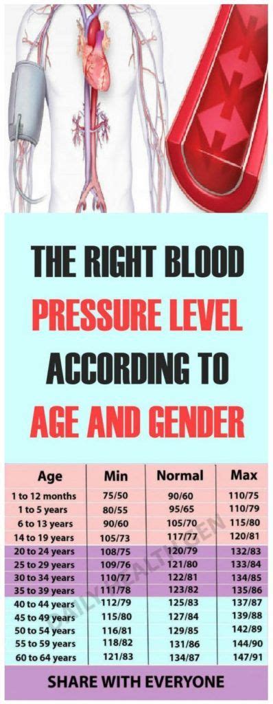 The Right Blood Pressure Level According To Age And Gender Health