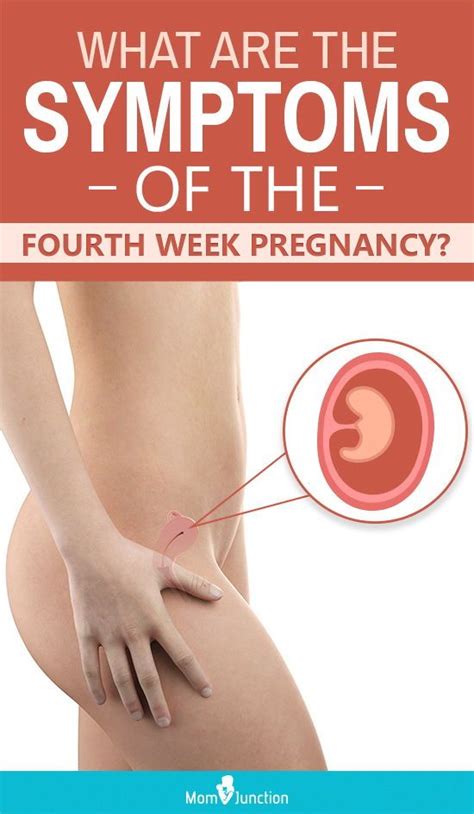 Pregnancy Symptoms In Weeks Pregnancy Sympthom
